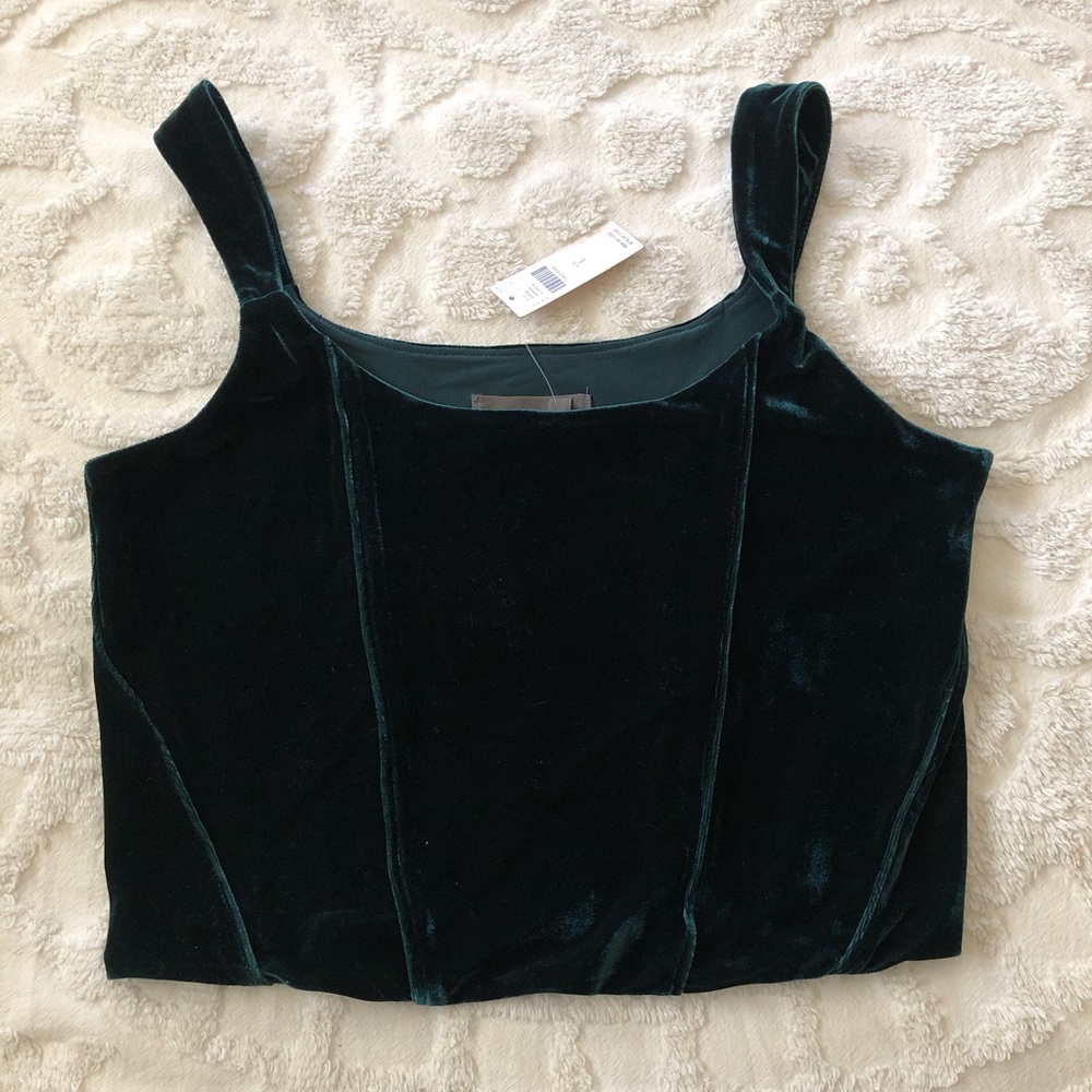 NWT Anthropologie Velvet Corset Top